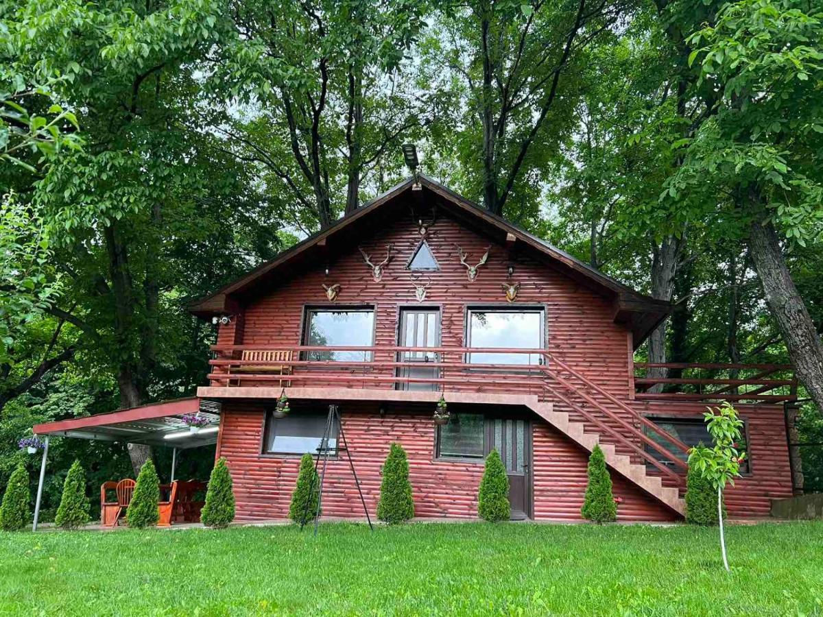 Вила Орехите Dupniza Exterior foto