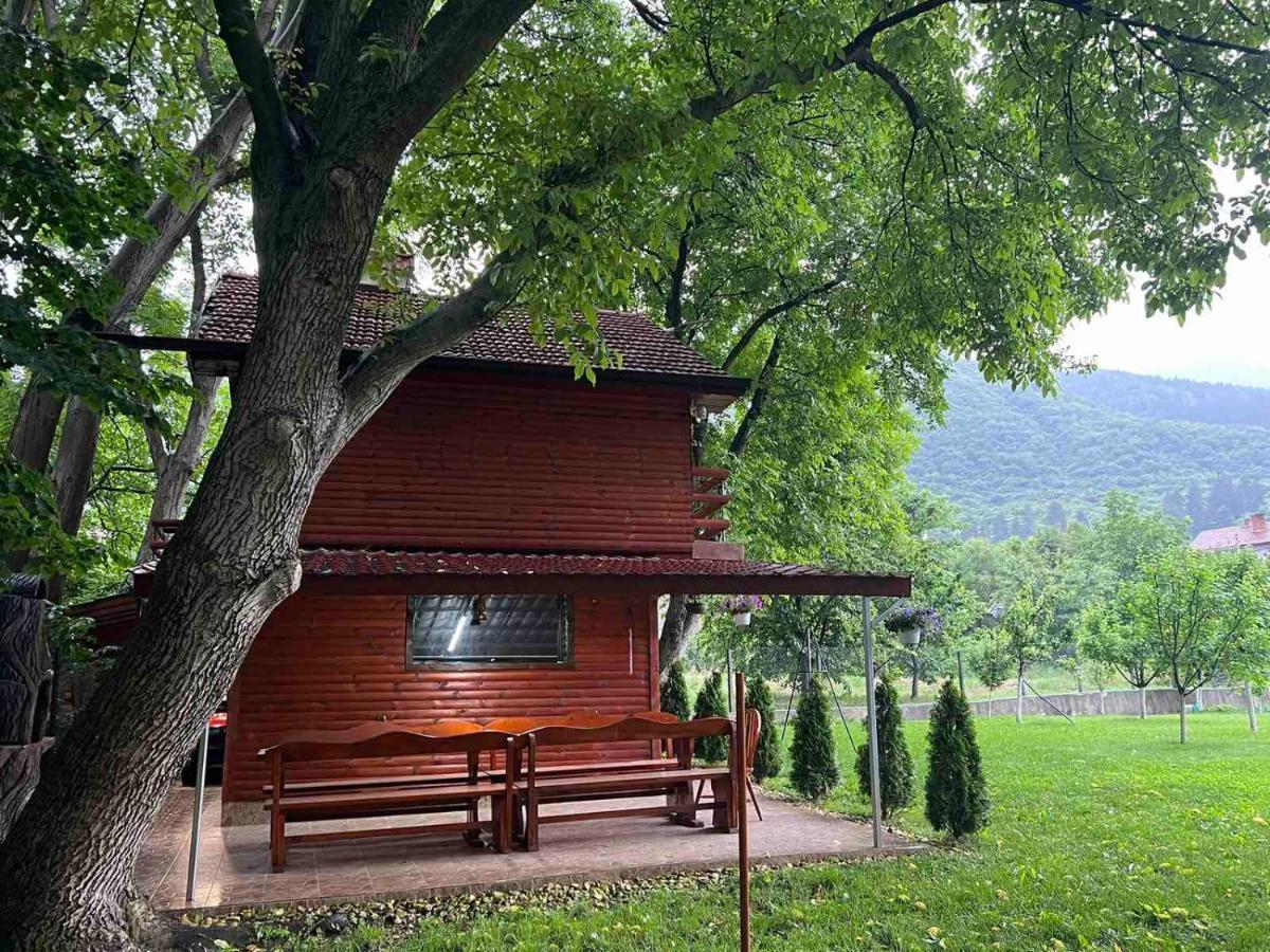 Вила Орехите Dupniza Exterior foto