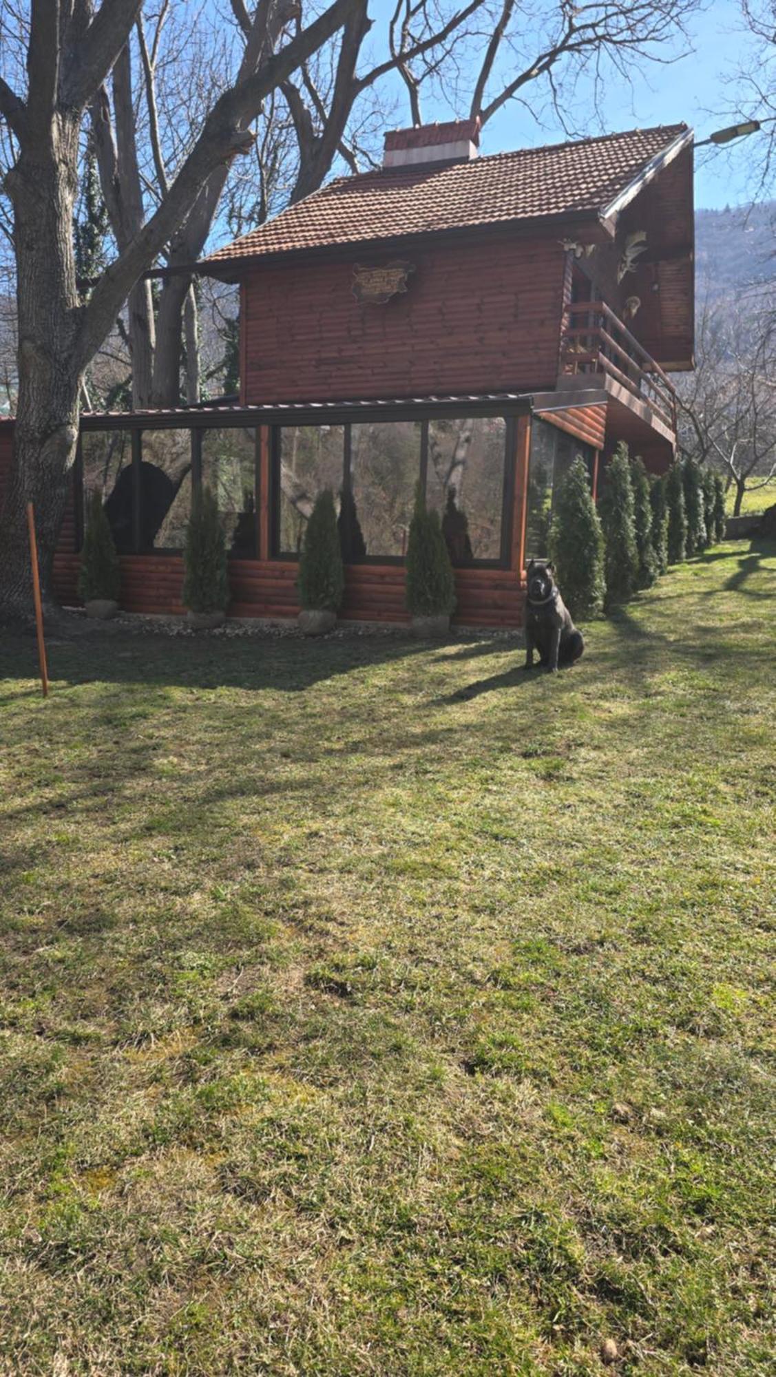Вила Орехите Dupniza Exterior foto